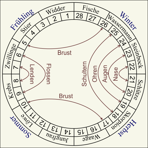 Nakshatras - Shishumara - Delphin Nakshatras - Shishumara - Delphin